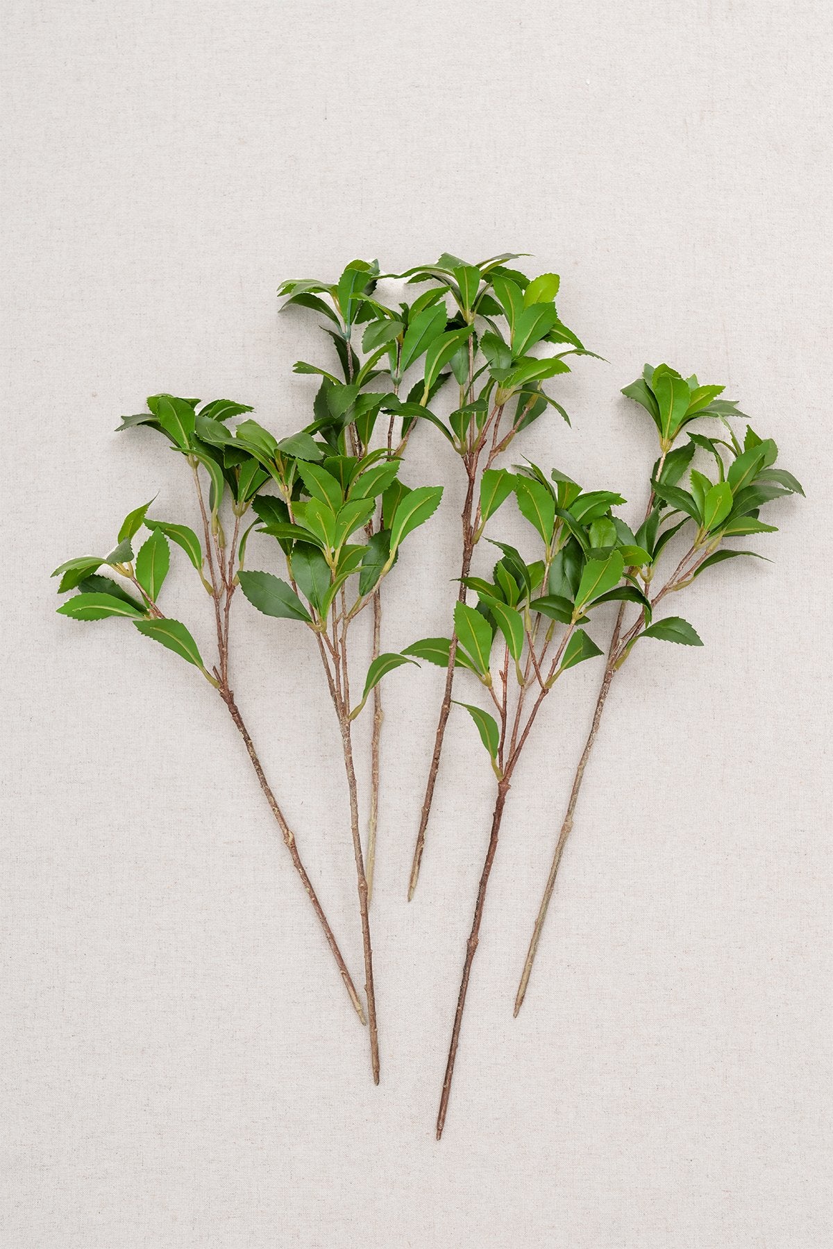 Camellia Leaf Branch - lingsDev