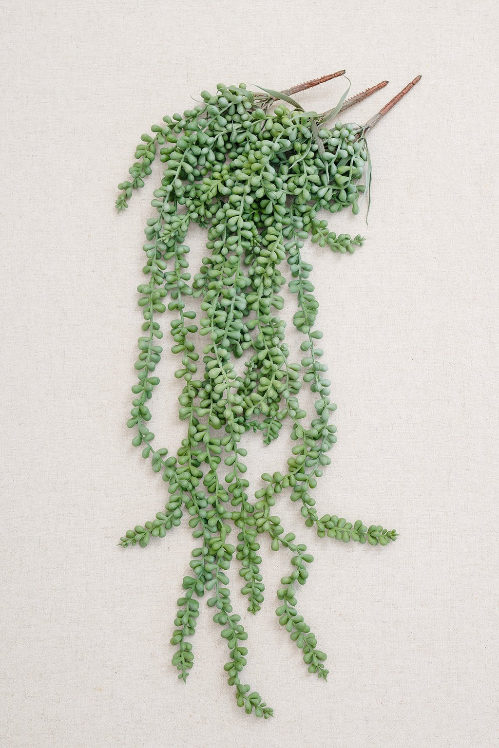 Greenery for DIY - Sage Green Theme - lingsDev