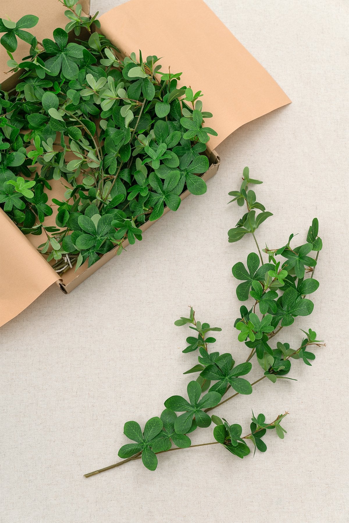 Schefflera Leaf Vine
