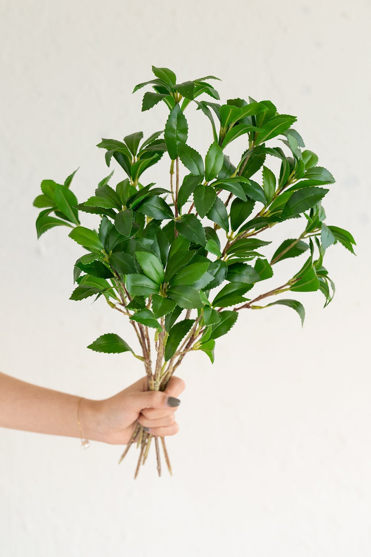 Camellia Leaf Branch - lingsDev