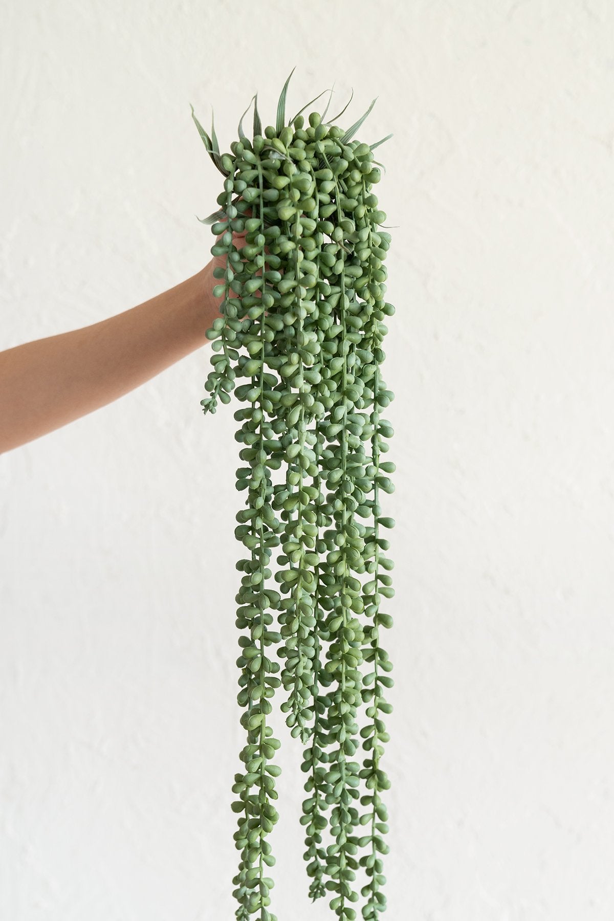 Greenery for DIY - Sage Green Theme - lingsDev