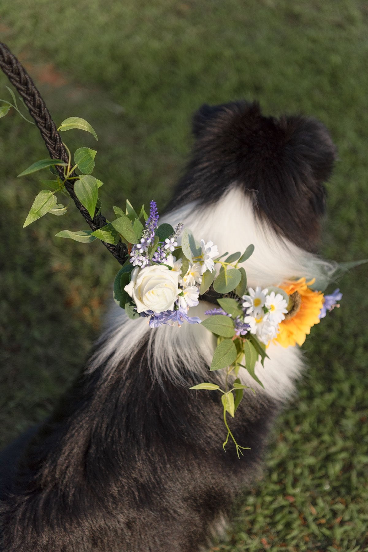 Dog Leash Set - Sunflowers & Lavender - lingsDev