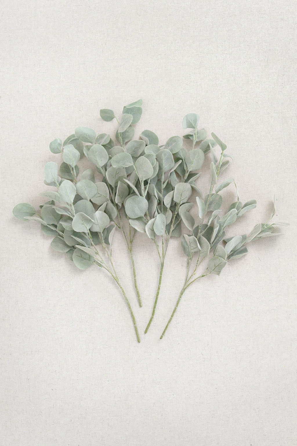 Flocked Silver Dollar Eucalyptus - lingsDev