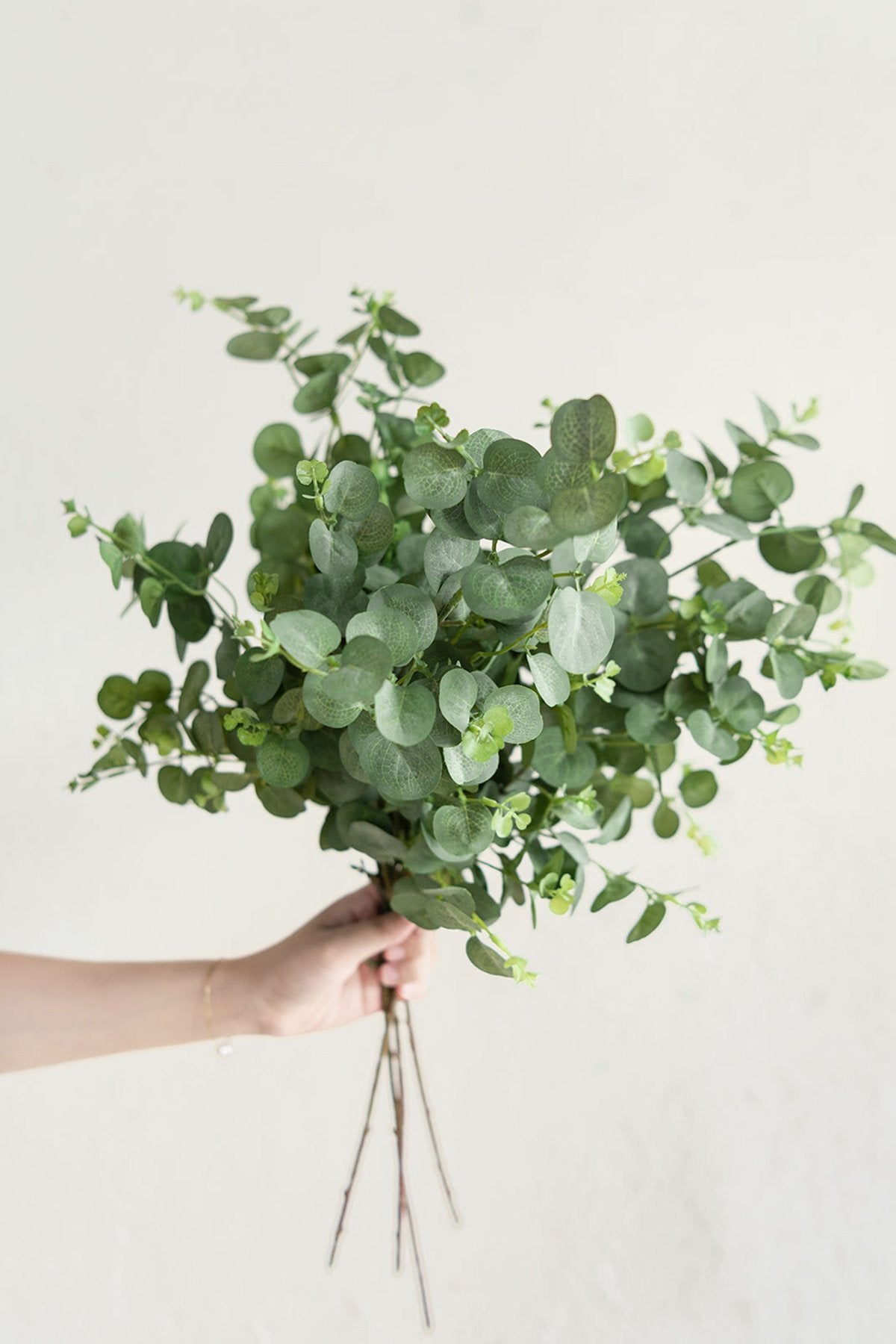 Greenery for DIY - Sage Green Theme - lingsDev