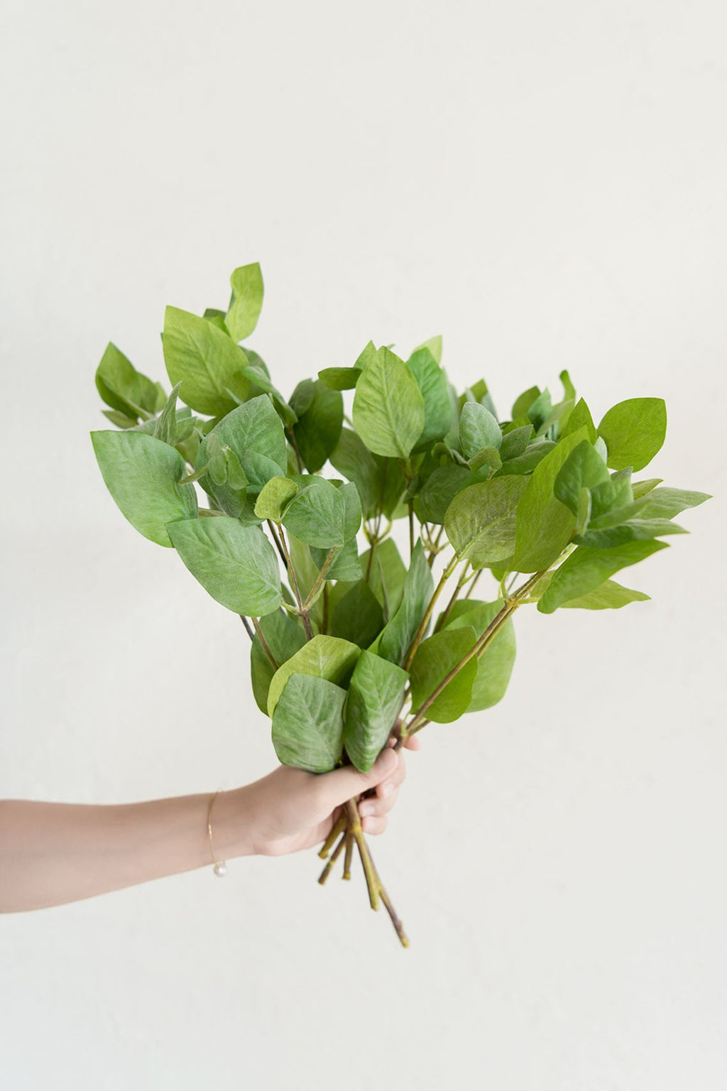 Mint Leaf Branch