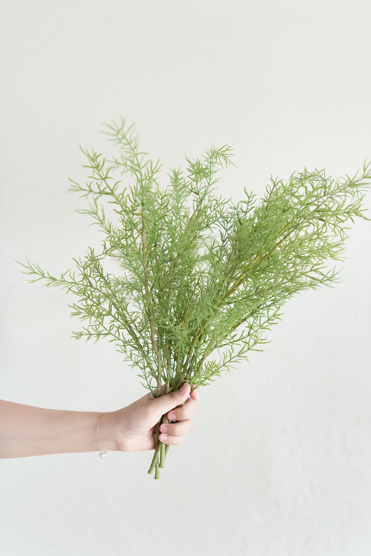 Light Green Rosemary Bush