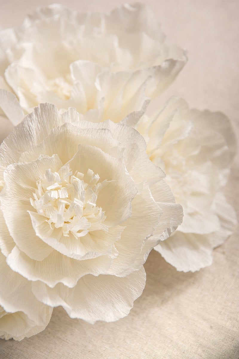9pcs Crepe Paper Flowers - Ivory - lingsDev