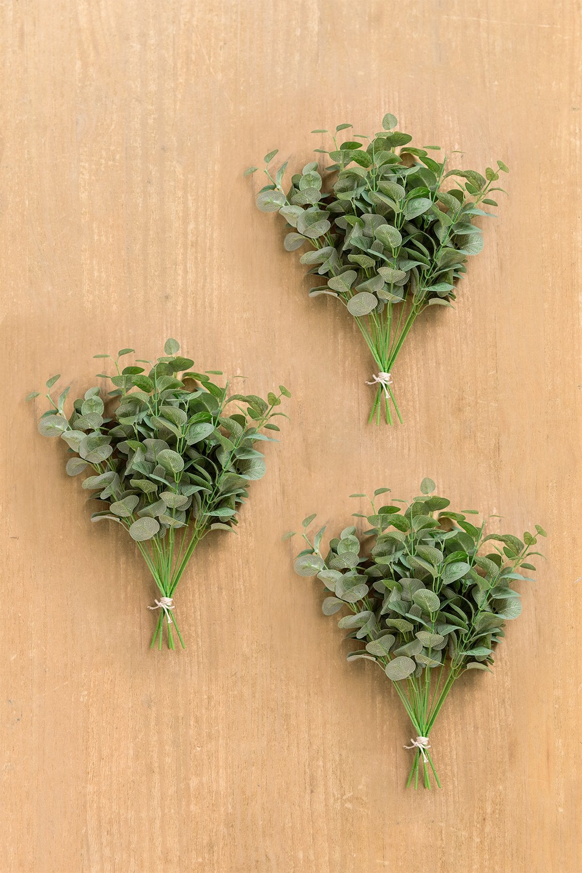 True Blue Eucalyptus (3 Bundles Pack) - lingsDev