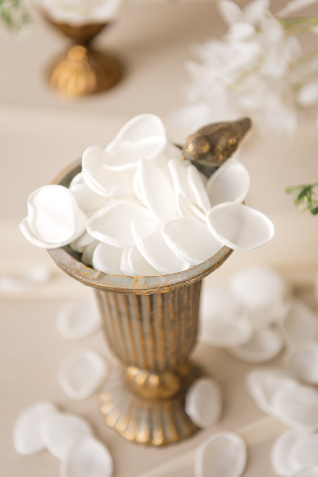 Silk Rose Petals - White & Beige - lingsDev