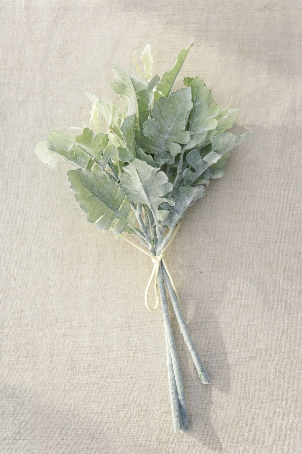 Greenery Best Sellers Collection - Ling's moment