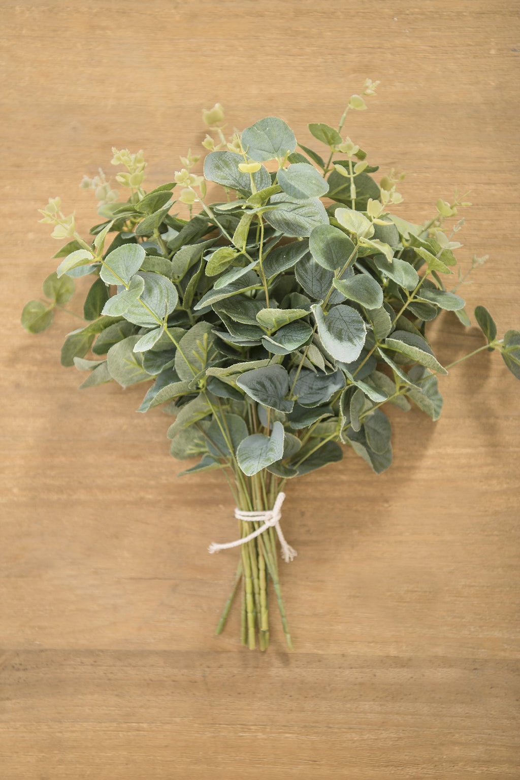 Greenery Best Sellers Collection - Ling's moment