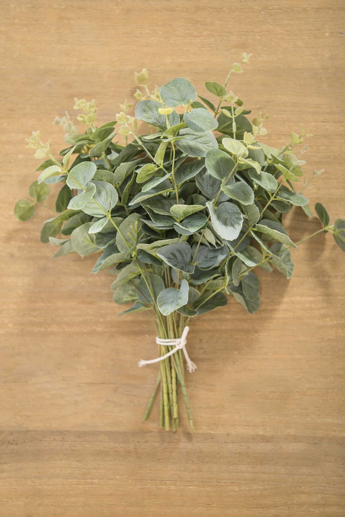 Greenery Best Sellers Collection - Ling's moment