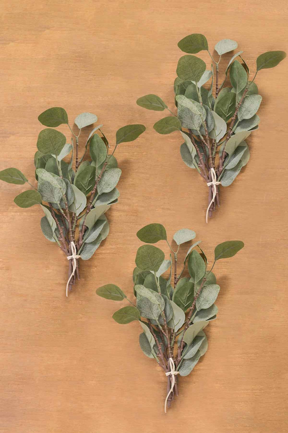 Eucalyptus Greens (3 Types) - lingsDev