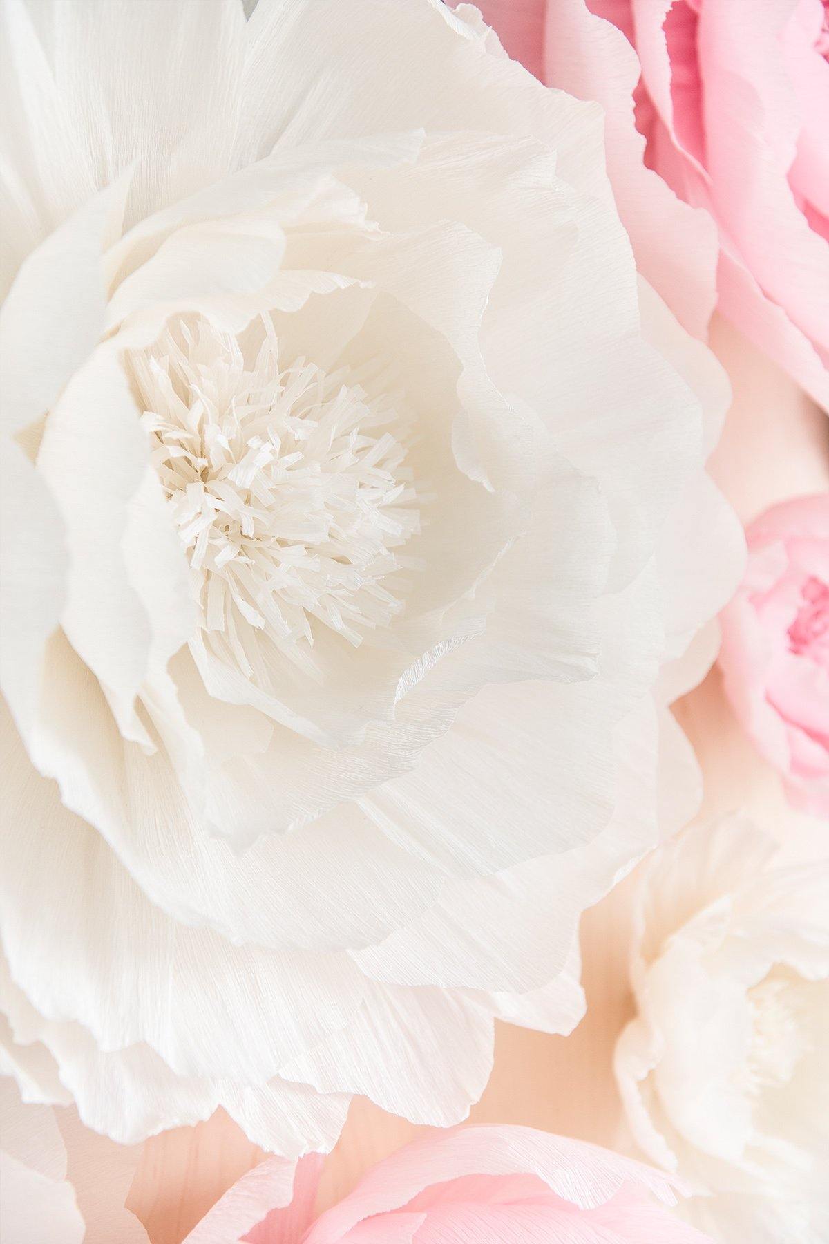 Crepe Paper Flowers - Peony - lingsDev