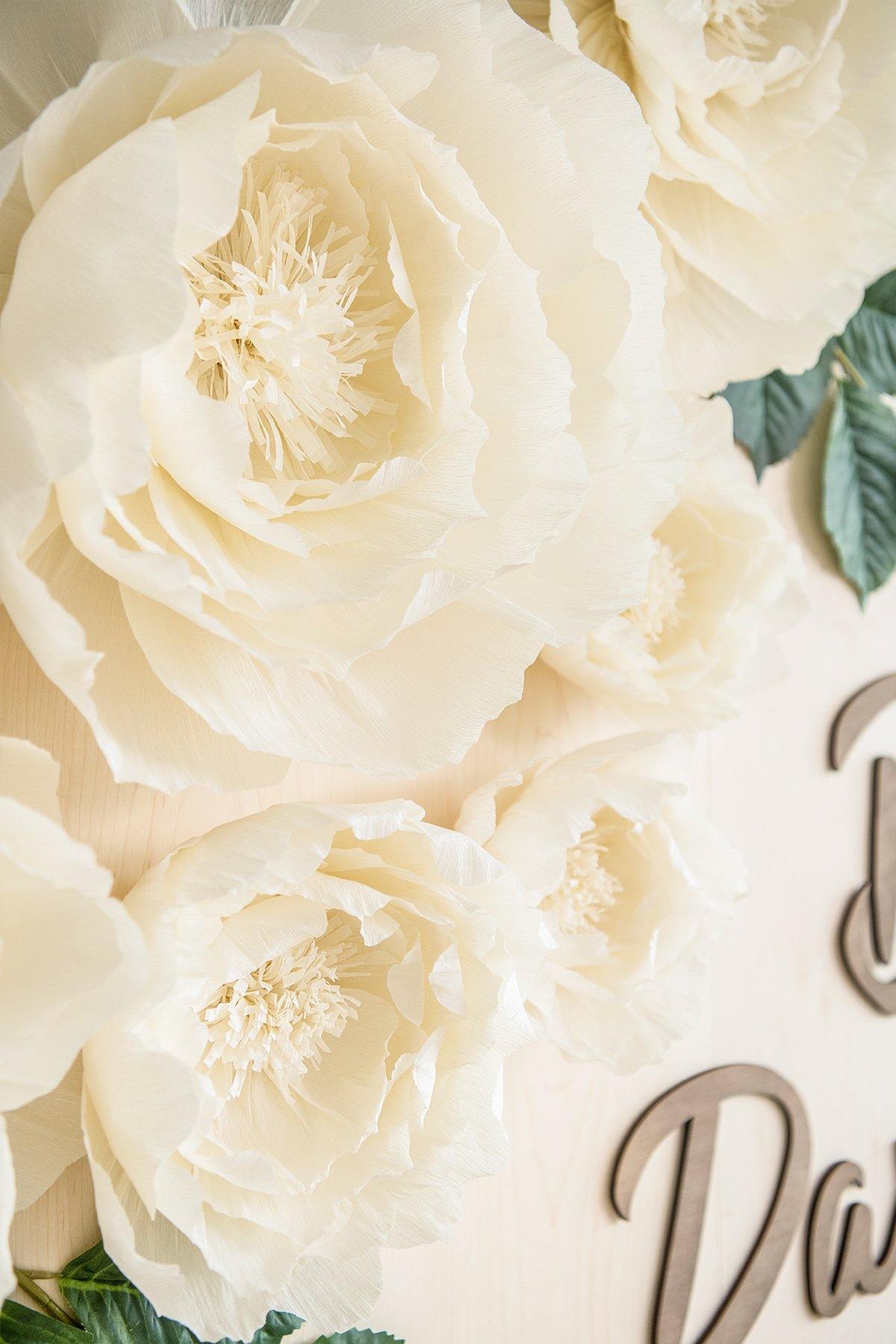 Crepe Paper Flowers - Peony - lingsDev